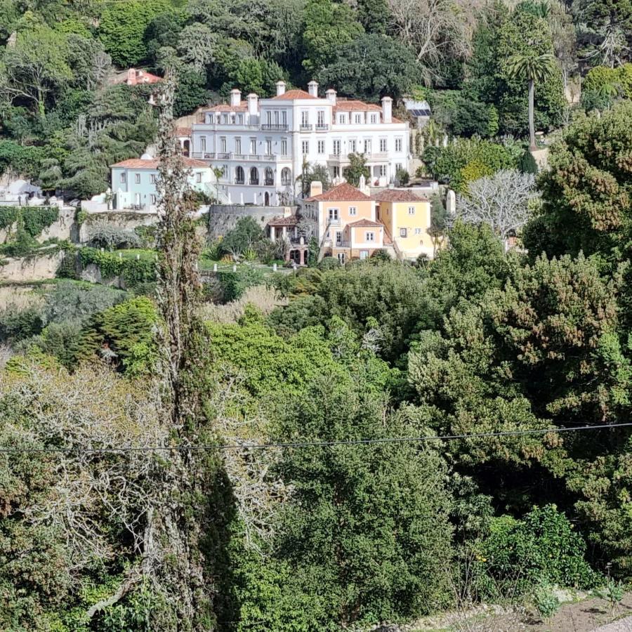 Quinta Da Bella Vista - Historic Home And Farm ซินตรา ภายนอก รูปภาพ